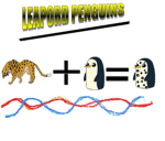 LEAPORD PENGUINS