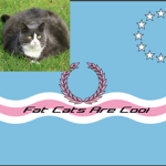 fat cat is cool