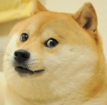 TheGamerD0G3's Doge Group