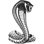 The Cobra Killers