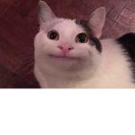 VikoXDBG