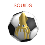 The Soccer Squids