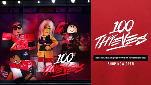 100 Thieves Official Store