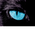 Blue Panther