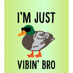 Ducky Vibez
