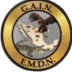 GAIN | Grupo de Análisis