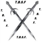 THE BEST SWORD FIGHTERS{GOOD ENOUGH}