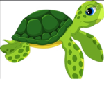 Let’s Go Turtles!