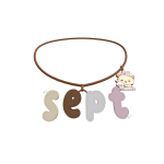 3.0 ssept necklace
