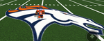 Official Denver Broncos