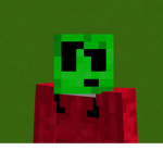 potted plant.