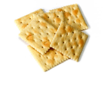 Saltine Studios