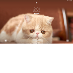 Thekittys_dogs