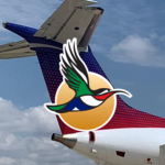 Fly Airlink