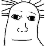 æ­