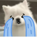 The Peachy Pineapples