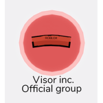 Visor inc. official group
