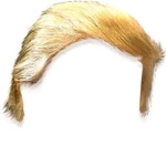 TehBlondeSquad