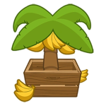 Bananas and na’s
