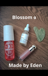 Blossom ɞ