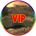 You bought VIP!