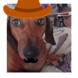 DOG THE HORROR 2