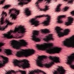 .⋆Aesthetic Thrifts⋆.