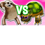 Team Sloth Or Team Turtle
