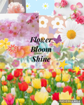 Flower Bloom Shine