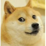 Save doges sheeesh