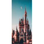 -Disney Resorts!-