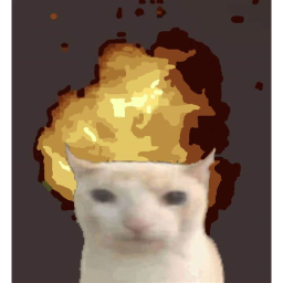 CATastrophic Obby