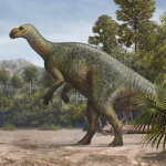 Australian Dinosaurs