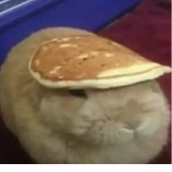 [UPDATE] slungus simulation