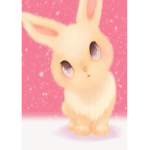 Cute litle rabbit