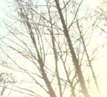 when we're snow