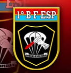 [B.F.E] Batalhão de Forças Especiais Grupo I