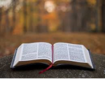 Bible scriptures