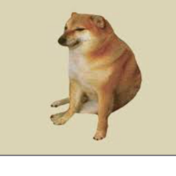 Doge tests weapons
