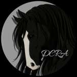 Diamond Crown Riding Academy