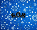 [G.O.S] Ghosts of Sight