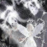 angelx •