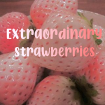 Extraordinary|Strawberries