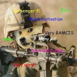 The Doge Marines
