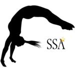Silver starlights cheer academy