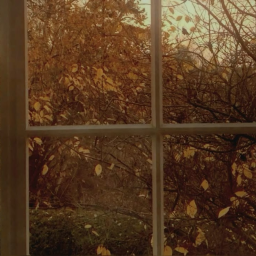 ❝ leaves