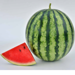 melon البطيخ