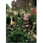 Life, Love, and The Beatles