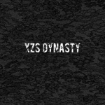 Dynasty xzs