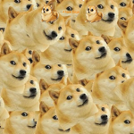 Fans del doge